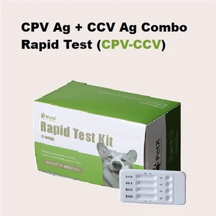 CPV CCV Ag