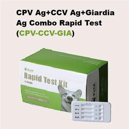 CPV CCV GIA