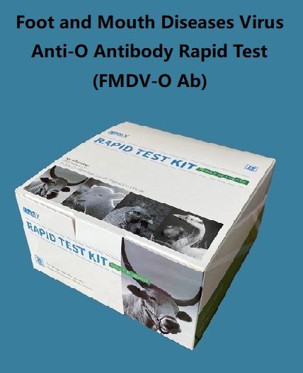 FMDV-O Prova ràpida d'anticossos