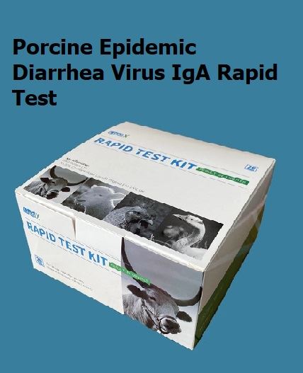Prova ràpida IgA del virus de la diarrea epidèmica porcina (PEDV-IgA)